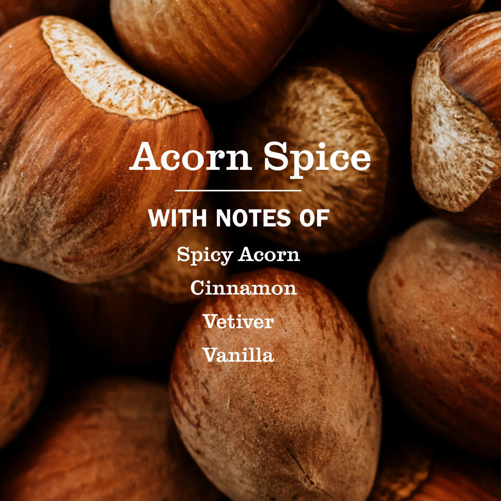 Acorn Spice Kitchen Basics Set - Image 4