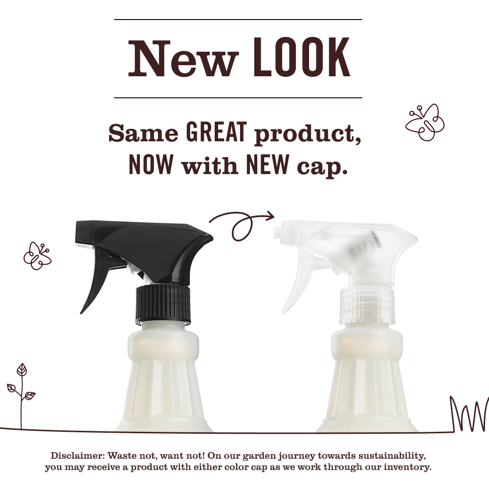 Eucalyptus Multi-Surface Everyday Cleaner - Image 3