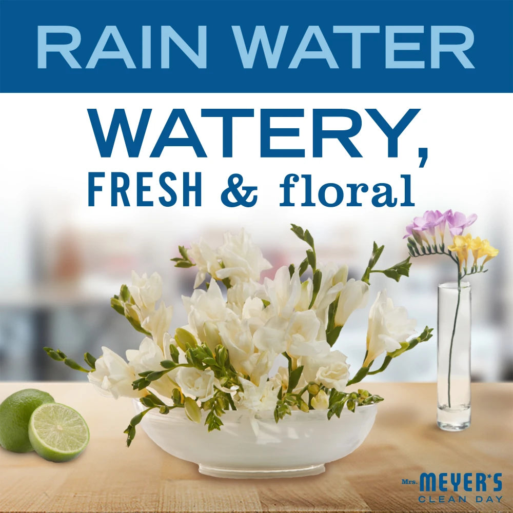 Rain Water Dish Soap Refill - Image 3