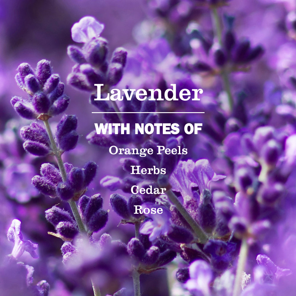 Lavender Multi-Surface Everyday Cleaner - Image 4